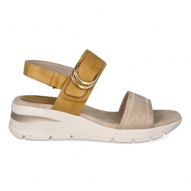 AMD 30052 COMBI MOSTAZA